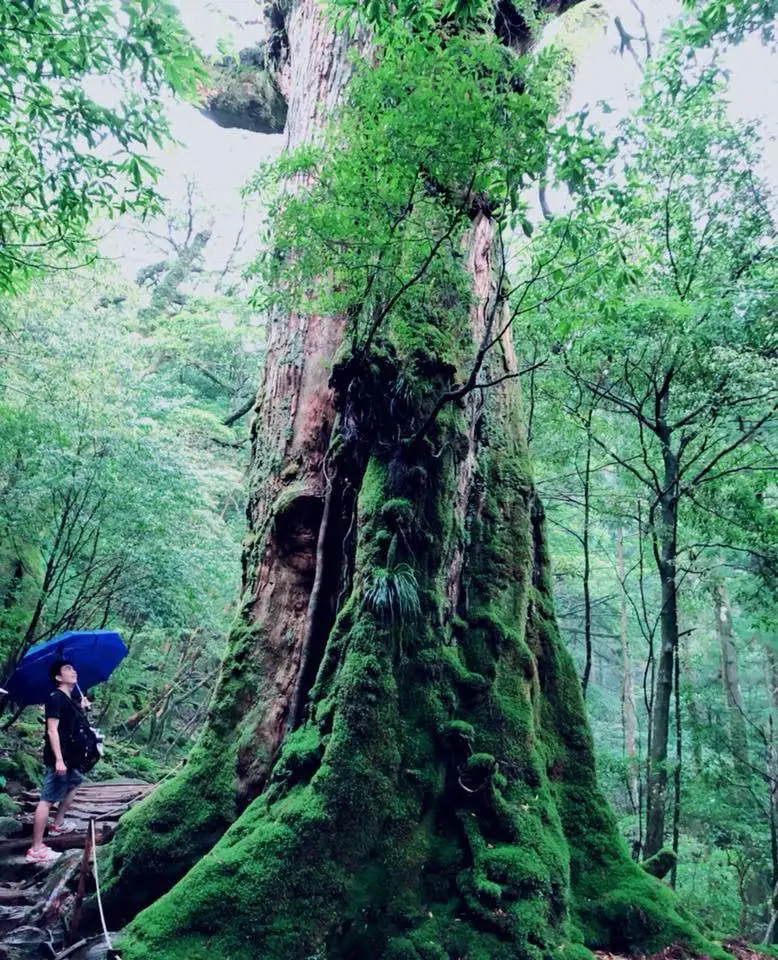 與自己比較的成長哲學：真正的進步，不是超越他人，而是每天比昨天更好